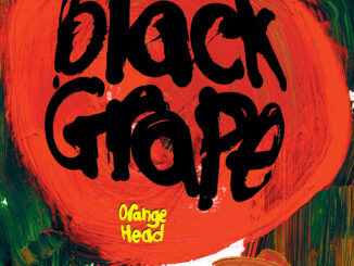 Black Grape - Orange Head