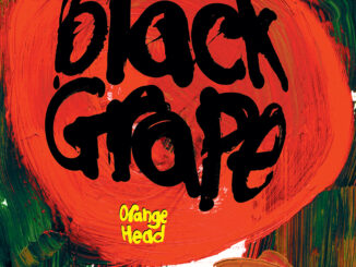ALBUM REVIEW: Black Grape - Orange Head 83 Black Grape - Orange Head