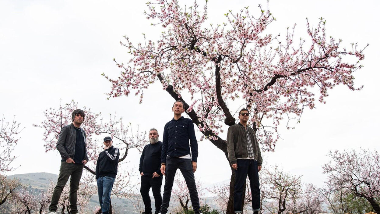 Shed Seven