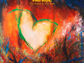 ALBUM REVIEW: Snow Patrol - The Forest Is the Path 92 Snow Patrol - The Forest Is the Path