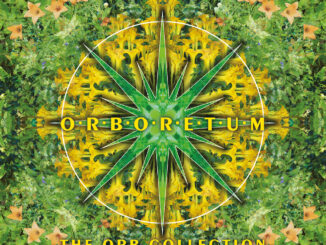 THE ORB Announce ‘Orboretum: The Orb Collection’ - A career-spanning 2CD & limited-edition quadruple vinyl octagonal set 82 THE ORB