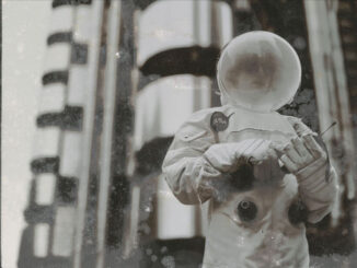 Spiritualized announce 'Pure Phase' 30th Anniversary Tour 81 Spiritualized