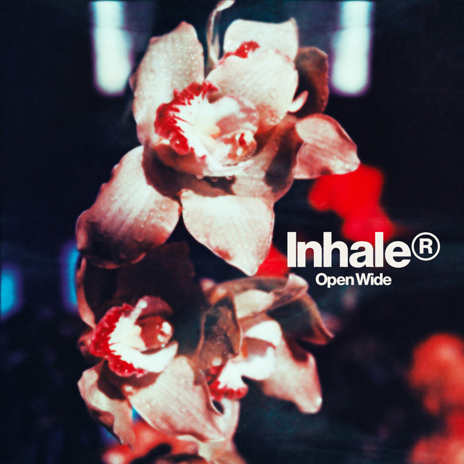 ALBUM REVIEW: Inhaler - Open Wide