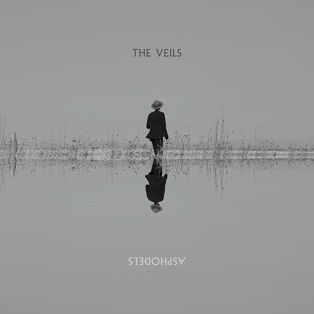 The Veils