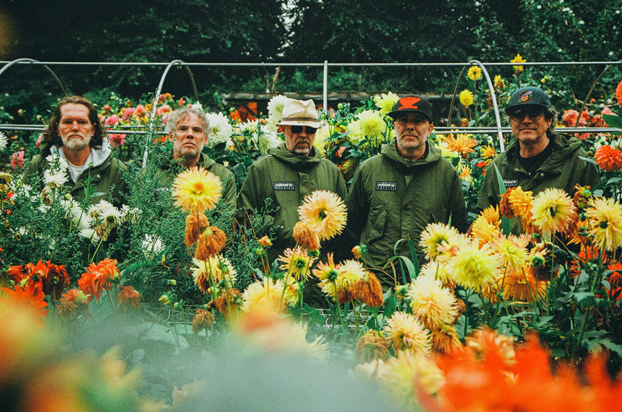 SUPER FURRY ANIMALS