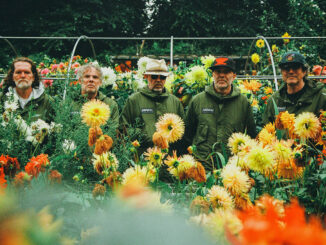 SUPER FURRY ANIMALS