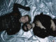 CHALK Announce Headline Show at The Limelight, Belfast — May 16th 2026 92 CHALK