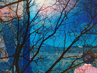 ALBUM REVIEW: Idlewild - 'Idlewild' 83 Idlewild
