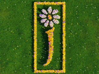 ALBUM REVIEW: James – Nothing But Love: The Definitive Best Of