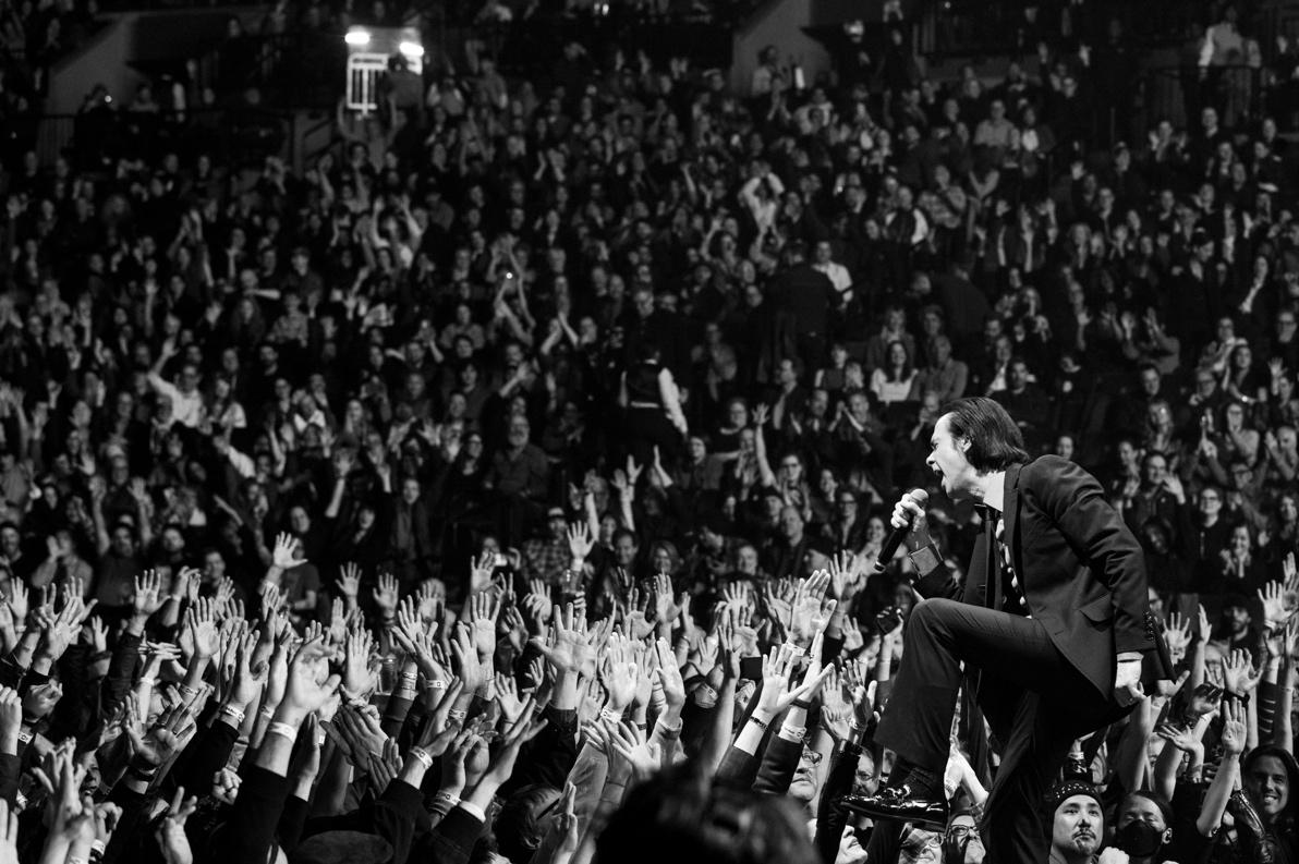 Nick Cave & The Bad Seeds