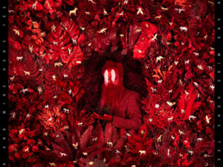 ALBUM REVIEW: Iron and Wine - Hen’s Teeth