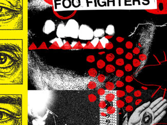 ALBUM REVIEW: Foo Fighters - Your Favourite Toy