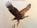 Mull Historical Society