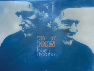 ALBUM REVIEW: Ed O’Brien - Blue Morpho