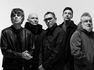 Shed Seven