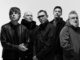 Shed Seven