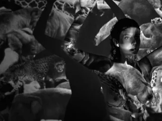 LILA ROSE: SHARES VIDEO FOR 'WORLD ON FIRE' - Watch/Listen 82 LILA ROSE: SHARES VIDEO FOR 'WORLD ON FIRE' - Watch/Listen