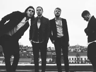 THE SHY LIPS  - Release new track 'Bahia Part II'