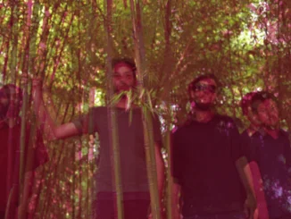 THE CAVE CHILDREN - Release debut album 'Quasiland' - listen to track 82 THE CAVE CHILDREN - Release debut album 'Quasiland' - listen to track