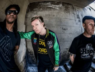 Watch THE PRODIGY feat SLEAFORD MODS' "Ibiza" promo video
