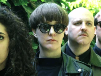 TRACK OF THE DAY : FLESH WORLD - POOLSIDE BOYS