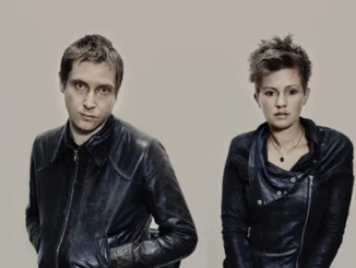 PRINZHORN DANCE SCHOOL - Share 'Reign (Shit Robot Remix)' - Listen