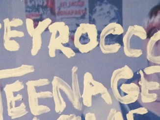 ALBUM REVIEW: HEY ROCCO - TEENAGE MOVIE SOUNDTRACK 83 ALBUM REVIEW: HEY ROCCO - TEENAGE MOVIE SOUNDTRACK