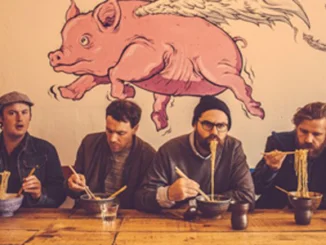 THE PHOENIX FOUNDATION - share "Mountain" video