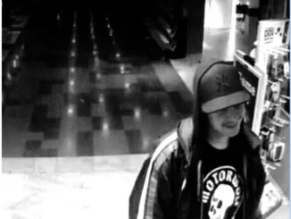 TRACK OF THE DAY: CLIFF LOTHAR – THE SNOW IS FALLING