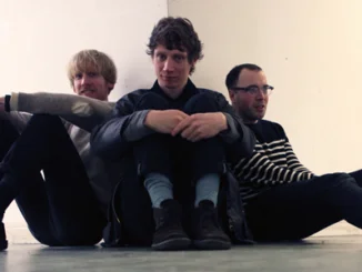 PRIMITIVE PARTS - Share "Miracle Skin" from debut album 'Parts Primitive'