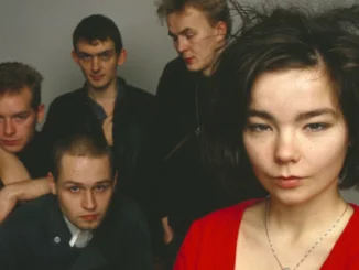 CLASSIC ALBUM REVISITED: THE SUGARCUBES - 'Life's Too Good' 1