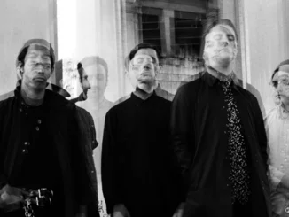 ALBUM REVIEW: DEAFHEAVEN - NEW BERMUDA