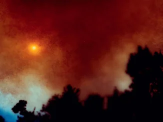 SOULSAVERS - announce new album ‘Kubrick’, due 4th December