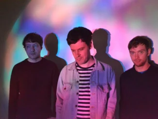 TRACK OF THE DAY: SEA PINKS - DEPTH OF FIELD