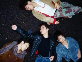 TRACK OF THE DAY: THE FIN - NIGHT TIME