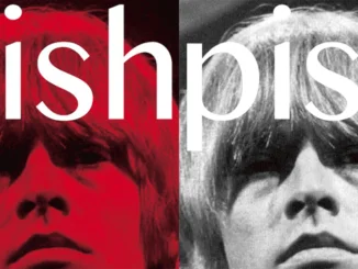 ALBUM REVIEW: BRIAN JONESTOWN MASSACRE - THINGY WINGY