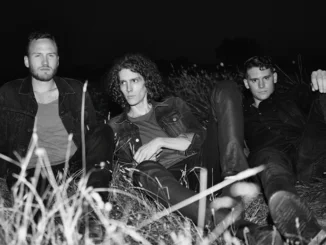 TRACK OF THE DAY: EVERYWHERE - 'Shades At Night'