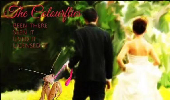 ALBUM REVIEW: THE COLOURFLIES - BEEN THERE, SEEN IT, LIVED IT, LICENSED IT