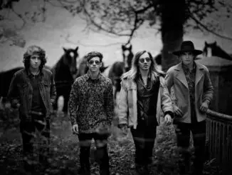 Check out the new single from PAVES 'Take Me While I'm Here'