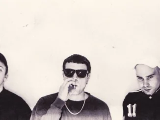 DMA's reveal new single 'In The Moment' from debut Album 'Hills End'