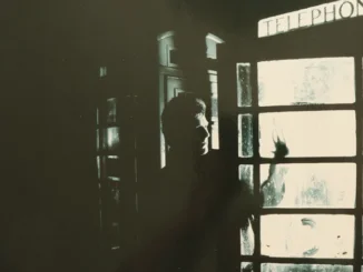 Classic Album Revisited: ROBYN HITCHCOCK & The EGYPTIANS - 'QUEEN ELVIS'