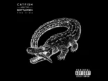 Album Review: Catfish And The Bottlemen - The Ride
