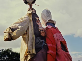 Album Review: Eagulls - Ullages