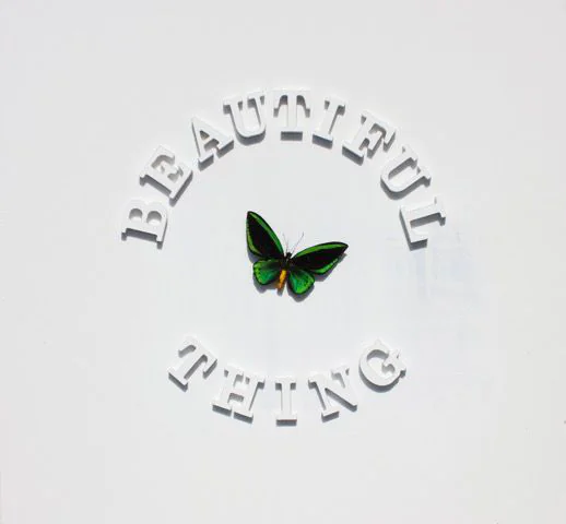 THE STONE ROSES WILL RELEASE A BRAND NEW SINGLE ‘BEAUTIFUL THING’ – AVAILABLE FROM MIDNIGHT TONIGHT 82 the stone roses