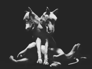 PJ Harvey Unveils 'Guilty', A Previously Unreleased Track taken from The Hope Six Demolition Project sessions