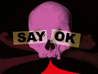 Track Of the Day: Kids on Bridges featuring Zigaboo Modeliste - Say OK