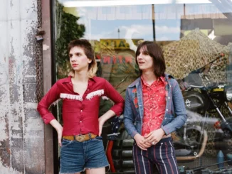 The Lemon Twigs announce debut album 'Do Hollywood'
