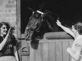 David Gray shares 2 new tracks written in memory of his Grandmother.