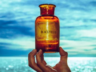 Album Review: BLACKFIELD - V