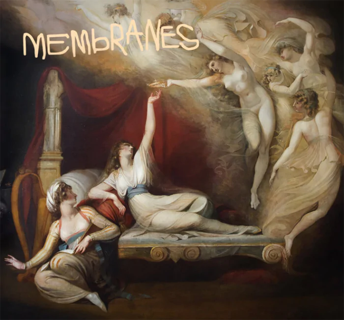 THE MEMBRANES play their biggest hometown show, Live at Manchester's Ritz 